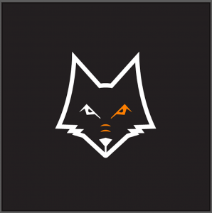 Everyone Will Want To “Swipe Right” On Foxchild